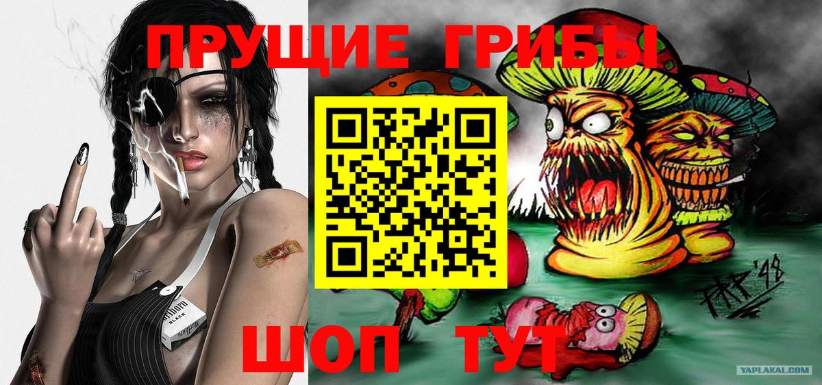 Горячий Ключ  Псилоцибиновые грибы мицелий  Псилоцибиновые грибы мухоморы  наркота  Вход с VPN 